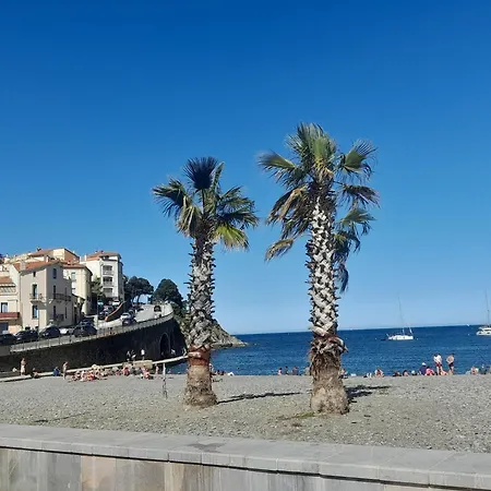 Appartement Junior 14600 à Banyuls-sur-Mer Extérieur photo